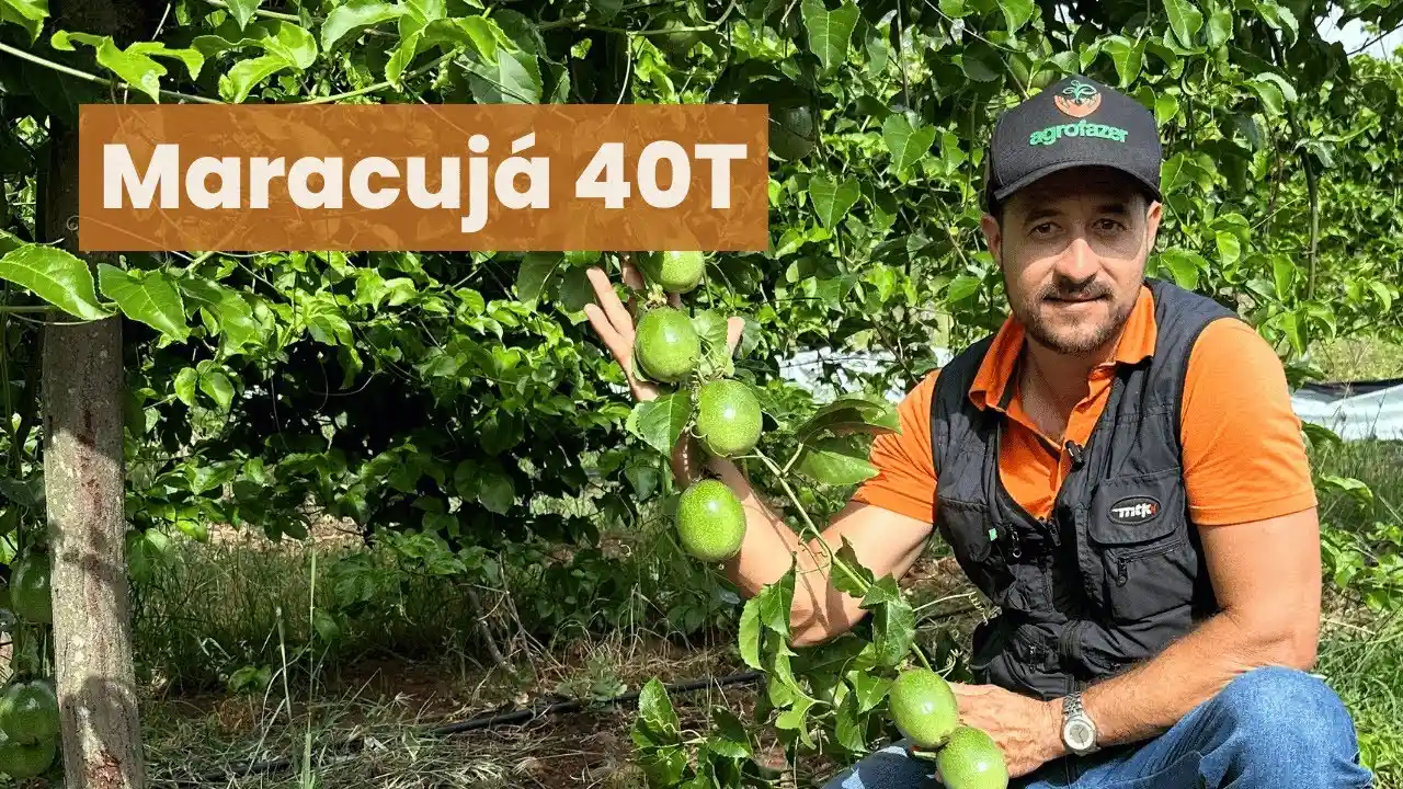 Maracujá 40T — clique para assistir
